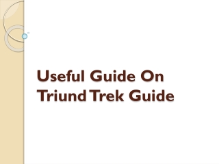 Useful Guide On Triund Trek Guide