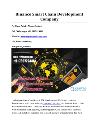 Binance Smart Chain Development Company (1)