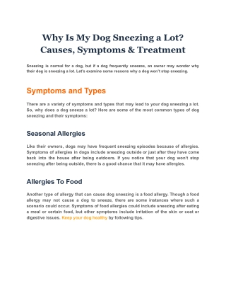 Why Is My Dog Sneezing a Lot Causes, Symptoms & Treatment