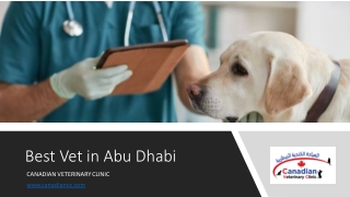 Best Vet in Abu Dhabi