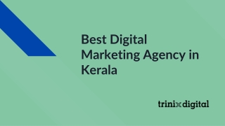 Best Digital Marketing Agency in Kerala
