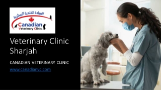 Veterinary Clinic Sharjah