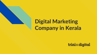 Digital Marketing Company in Kerala
