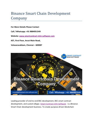 Binance Smart Chain Development Company