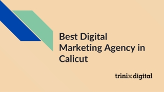 Best Digital Marketing Agency in Calicut