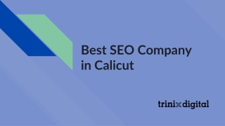 Best SEO Company in Calicut | 2023