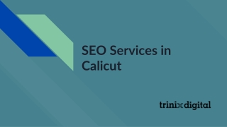 SEO Services in Calicut | SEO Company