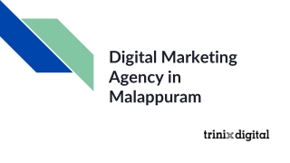Digital Marketing Agency in Malappuram