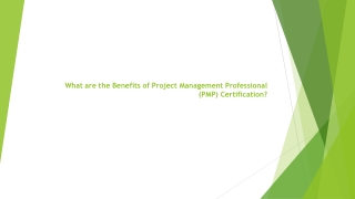 What are the Benefits of Project Management Professional