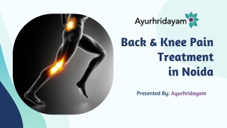 Ayurhridayam offers back and knee pain treatment in Noida through Ayurveda