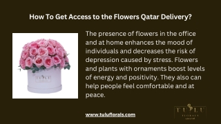 Flowers Qatar Delivery - Tulu Florals