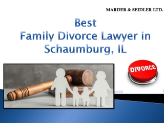 Best Family Divorce Lawyer in Schaumburg, IL