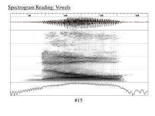 Spectrogram Reading: Vowels