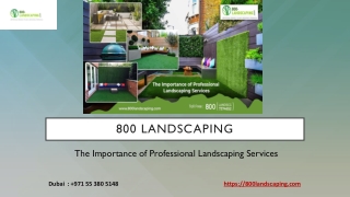 importance of Professional Landscaping Services in Dubai