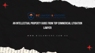 An Intellectual Property Guide From Top Commercial Litigation Lawyer