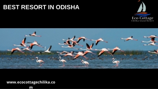 Find the Best Resort in Odisha