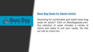 Bean Bag Seats For Adults Online   Beanbagseats.com
