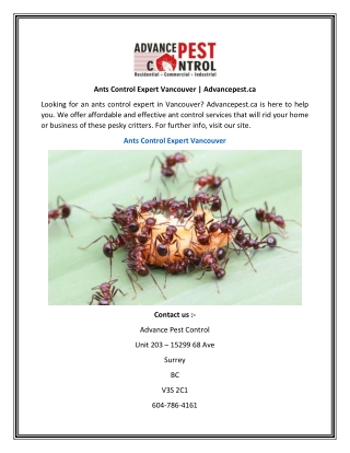 Ants Control Expert Vancouver  Advancepest.ca