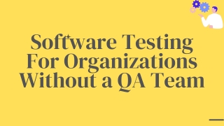 Software Testing For Organizations Without a QA Team