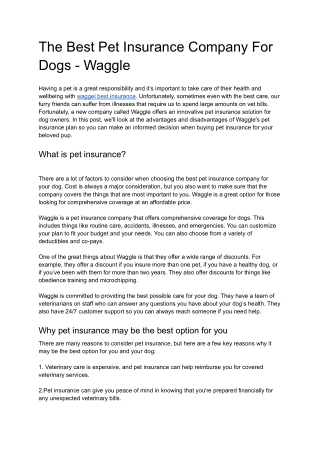 The Best Pet Insurance Company For Dogs - Waggle