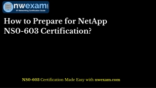 NS0-603 Practice Test: How to Prepare for NetApp NS0-603 Certification?