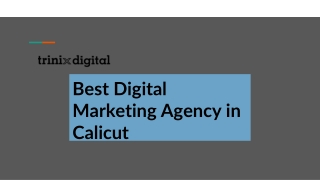 Best Digital Marketing Agency in Calicut