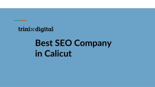 Best SEO Company in Calicut