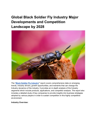 Global Black Soldier Fly Industry Major Developments and Competition Landscape .