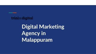 Digital Marketing Agency in Malappuram