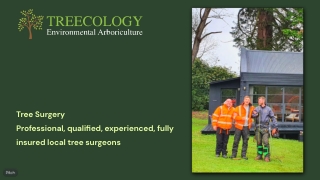 Treecology Arboriculture