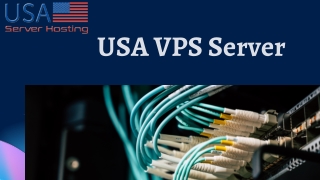 Choose USA VPS Server from USA Server Hosting for Business Hosting Services