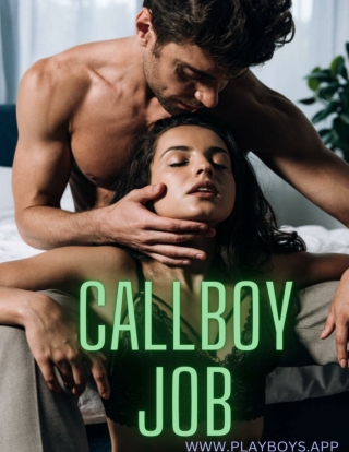 The Complete information on callboy job