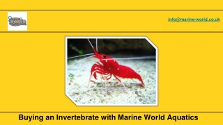 Buying an Invertebrate with Marine World Aquatics