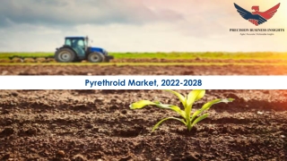 Pyrethroid Market Trends, Industry Analysis 2022-28