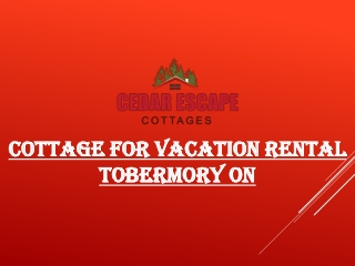 Looking Cottage for Vacation Rental Near Tobermory ON