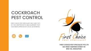 Cockroach  pest control