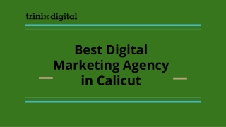 Best Digital Marketing Agency in Calicut