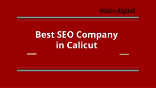 Best SEO Company in Calicut - SEO Services