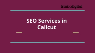 SEO Services in Calicut