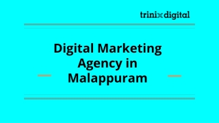 Digital Marketing Agency in Malappuram