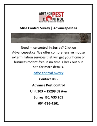 Mice Control Surrey | Advancepest.ca