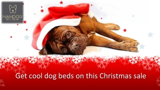 Get cool dog beds on this Christmas sale