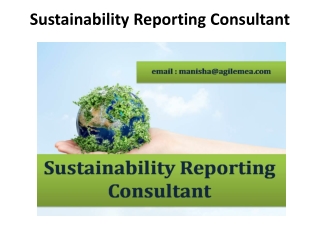 Sustainability Reporting Consultant