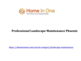 Professional Landscape Maintenance Phoenix