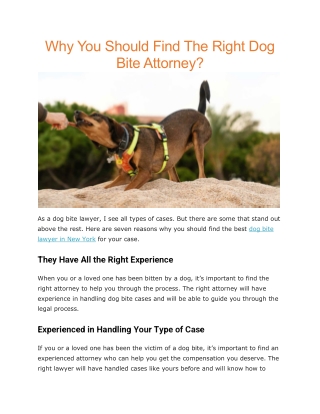 Best dog bite attorney