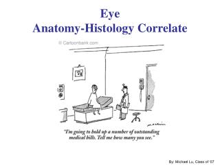 Eye Anatomy-Histology Correlate