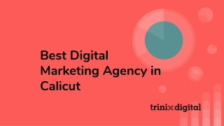 Best Digital Marketing Agency in Calicut