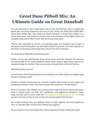 Great Dane Pitbull Mix: An Ultimate Guide on Great Danebull