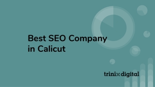 Best SEO Company in Calicut | Trinix Digital