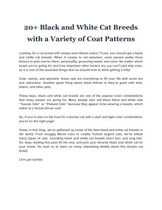 20  Black and White Cat Breeds with a Variety of Coat Patterns
